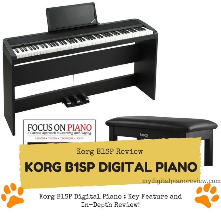 B1SP Digital Piano Key Feature And InDepth Review
