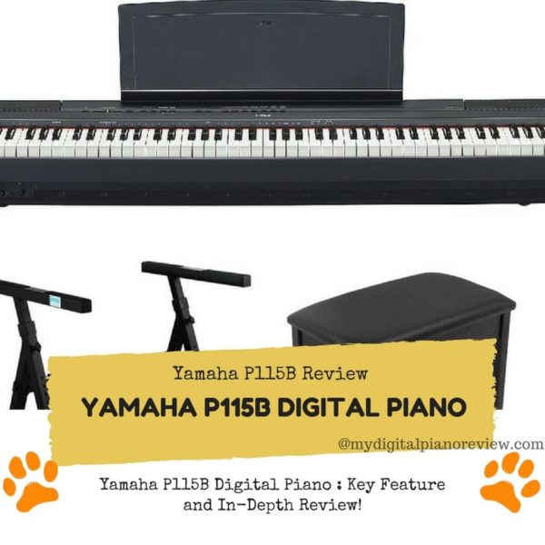 Yamaha P115B Digital Piano Key Feature And InDepth Review