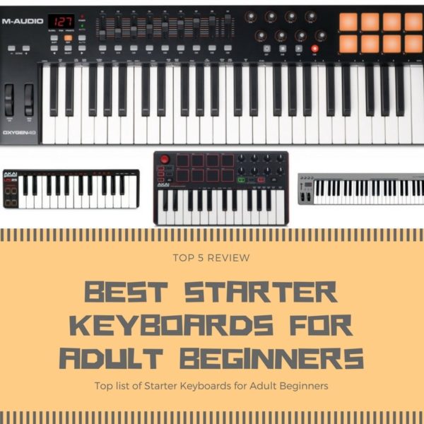 Best Starter Keyboards For Adult Beginners Top 5 Review And Picks