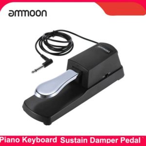 Sustain Pedal