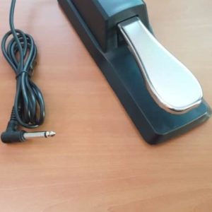 Sustain Pedal For Yamaha and Casio Piano Keyboard photo review